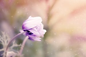 ペインボディとは心の痛み。思考を観察して今ここに生きることで過去の妄想から抜け出せる